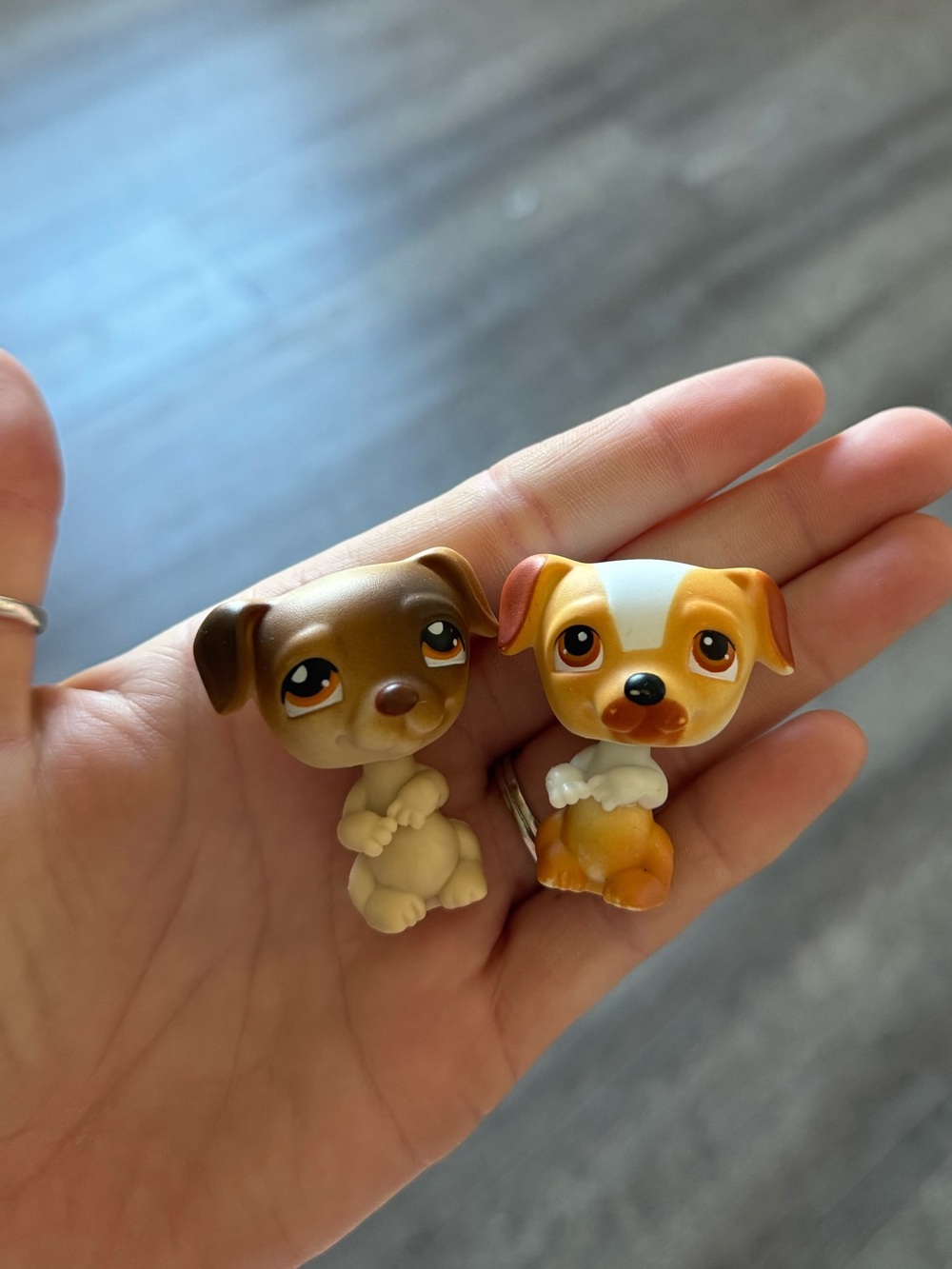 LPS #40 and #109